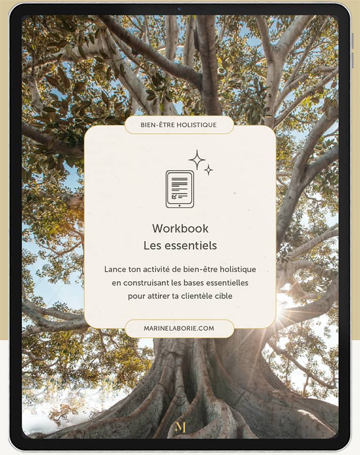 workbook les essentiels