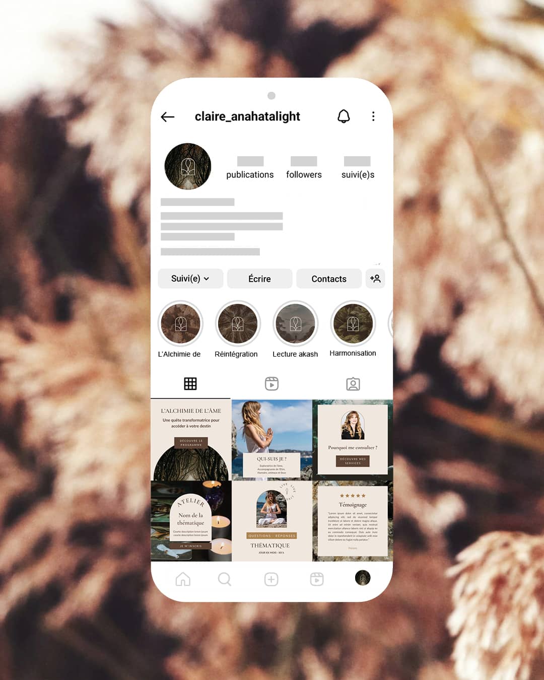 templates canva Instagram holistique