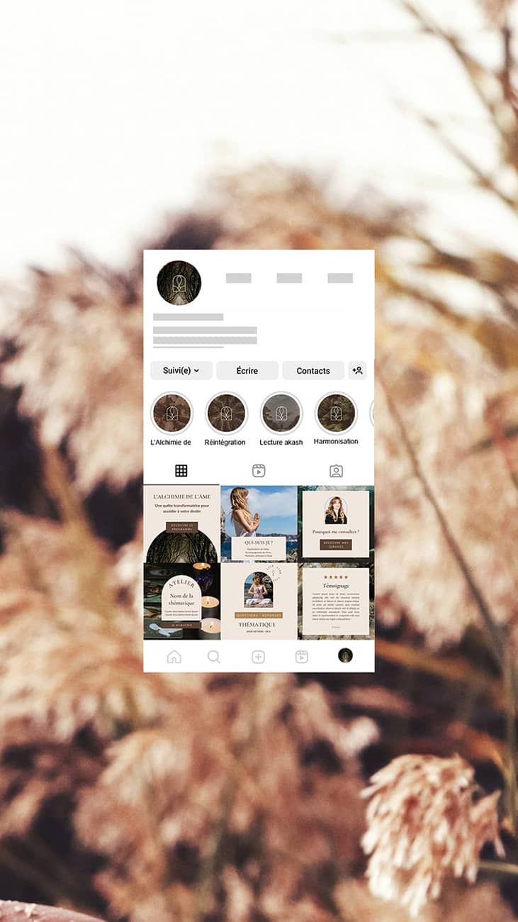 feed instagram praticienne holistique