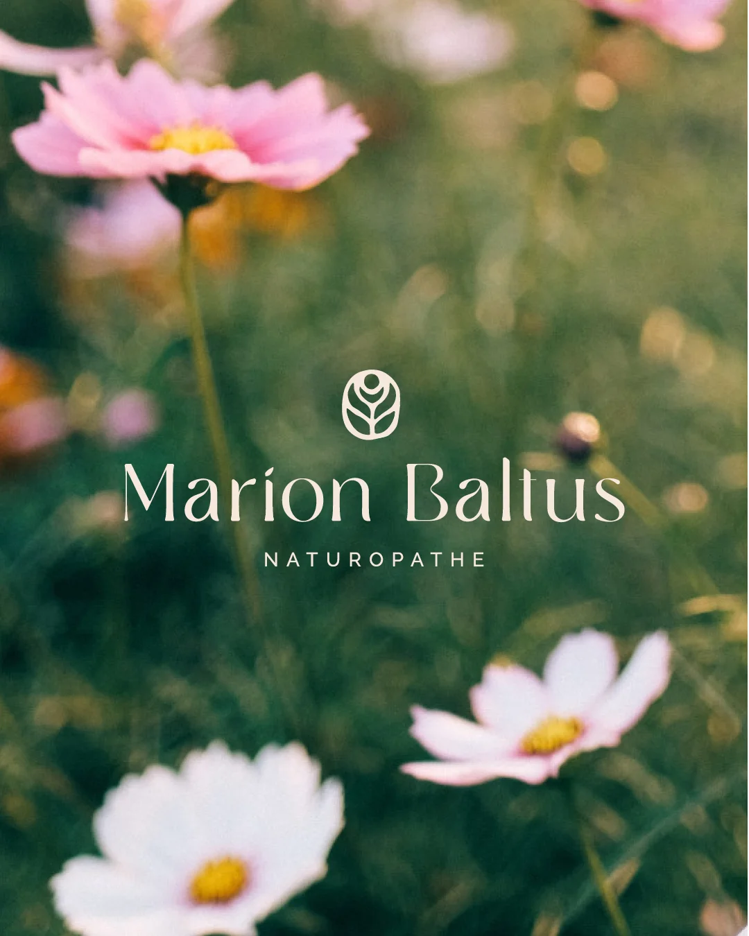 création identité visuelle naturopathe identité de marque masseuse