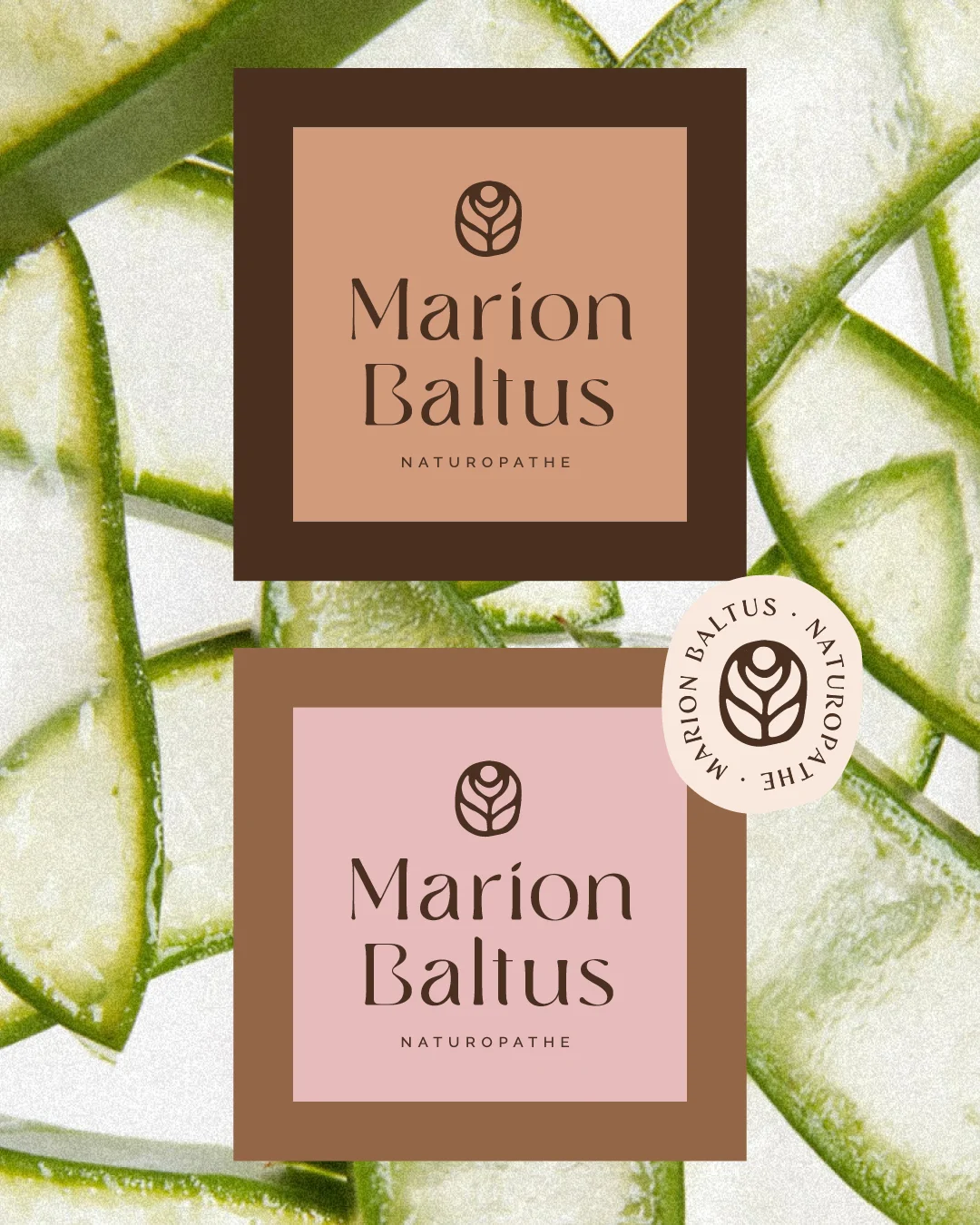 identité visuelle haut-de-gamme-naturopathe image de marque holistique