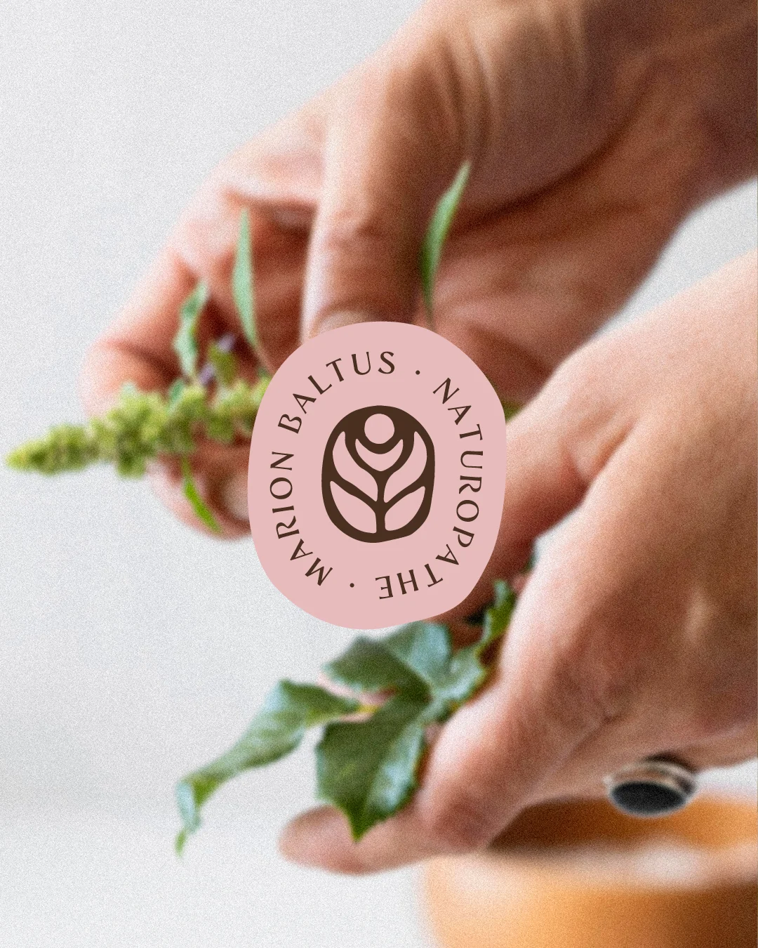 identité visuelle haut-de-gamme création logo marque éthique